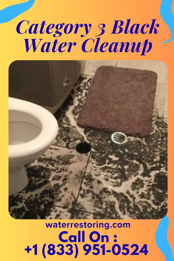 Category 3 Black Water Cleanup in Mound City, KS